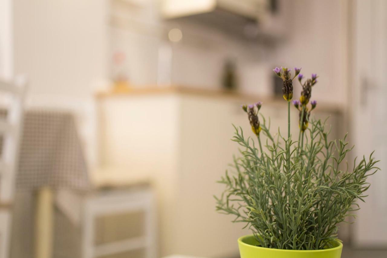 Apartments Casa Vecchia โรวีน ภายนอก รูปภาพ